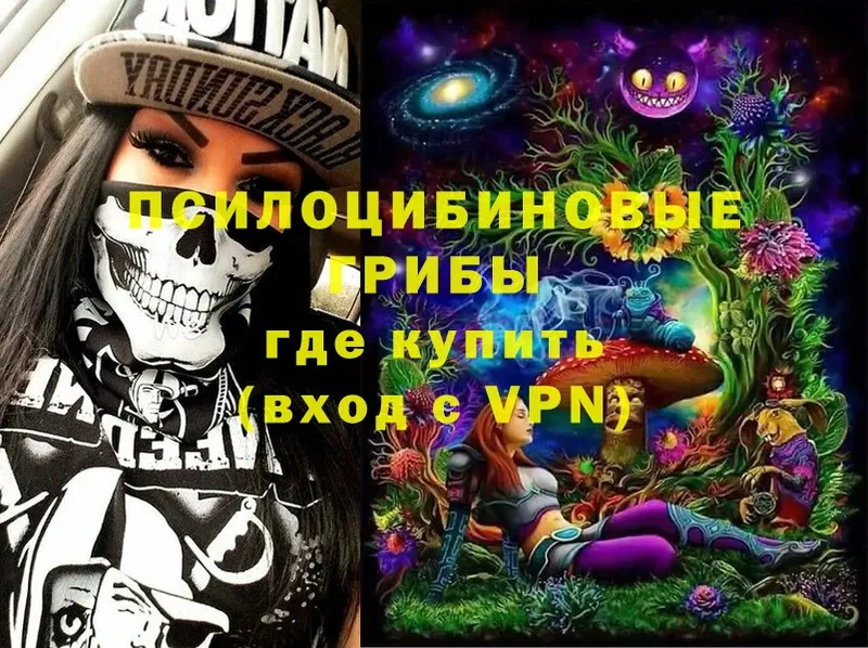 Галлюциногенные грибы MAGIC MUSHROOMS  Новосибирск 